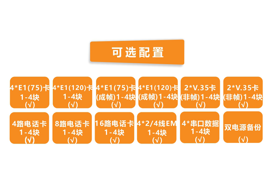 91AV看片入口科技-模块化多业务  TDM Over IP  电路仿真网关